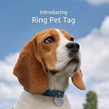 Ring Pet Tag | Easy-to-use tag with QR code | Real-time scan alerts | Shareable Pet Profile | No subscription or fees