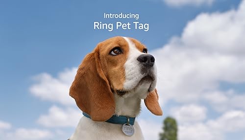 Ring Pet Tag | Easy-to-use tag with QR code | Real-time scan alerts | Shareable Pet Profile | No subscription or fees