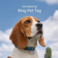 Ring Pet Tag | Easy-to-use tag with QR code | Real-time scan alerts | Shareable Pet Profile | No subscription or fees