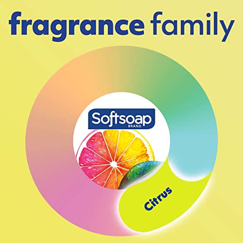 Savon liquide antibactérien pour les mains Softsoap, parfum d'agrumes frais, 11,25 onces, paquet de 6