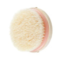 EcoTools Dry Body Brush, Cruelty-Free Bristles Exfoliate & Smooth Skin, Dry Brushing Removes Dry Skin, May Help Improve Circulation & Skin Tone, Eco-Friendly Skincare Tool, Vegan, 1 Count