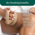 EcoTools Dry Body Brush, Cruelty-Free Bristles Exfoliate & Smooth Skin, Dry Brushing Removes Dry Skin, May Help Improve Circulation & Skin Tone, Eco-Friendly Skincare Tool, Vegan, 1 Count