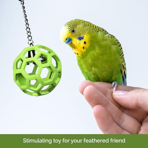 JW Pet Company Activitoys Hol-ee Roller Parrot Toy, 4 Inch Diameter (Colors Vary )