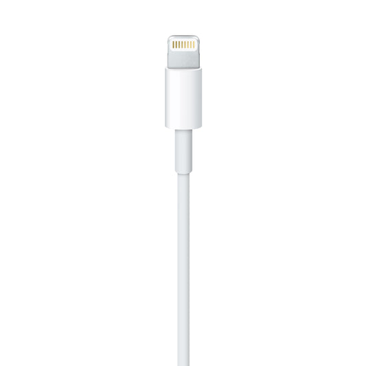 Apple Lightning to USB Cable (1 m) 