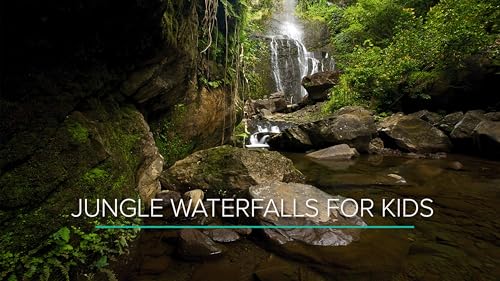 Jungle Waterfalls for Kids