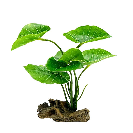 Smoothedo-Pets Décorations d'aquarium Ornements Betta Feuille Pad Hamac 6 pouces Plante artificielle en plastique Poisson rouge Cachettes de poisson Petit réservoir/Reptiles Plantes Bois flotté (Vert-Type-A)