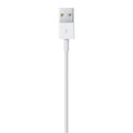 Apple Lightning to USB Cable (1 m) 