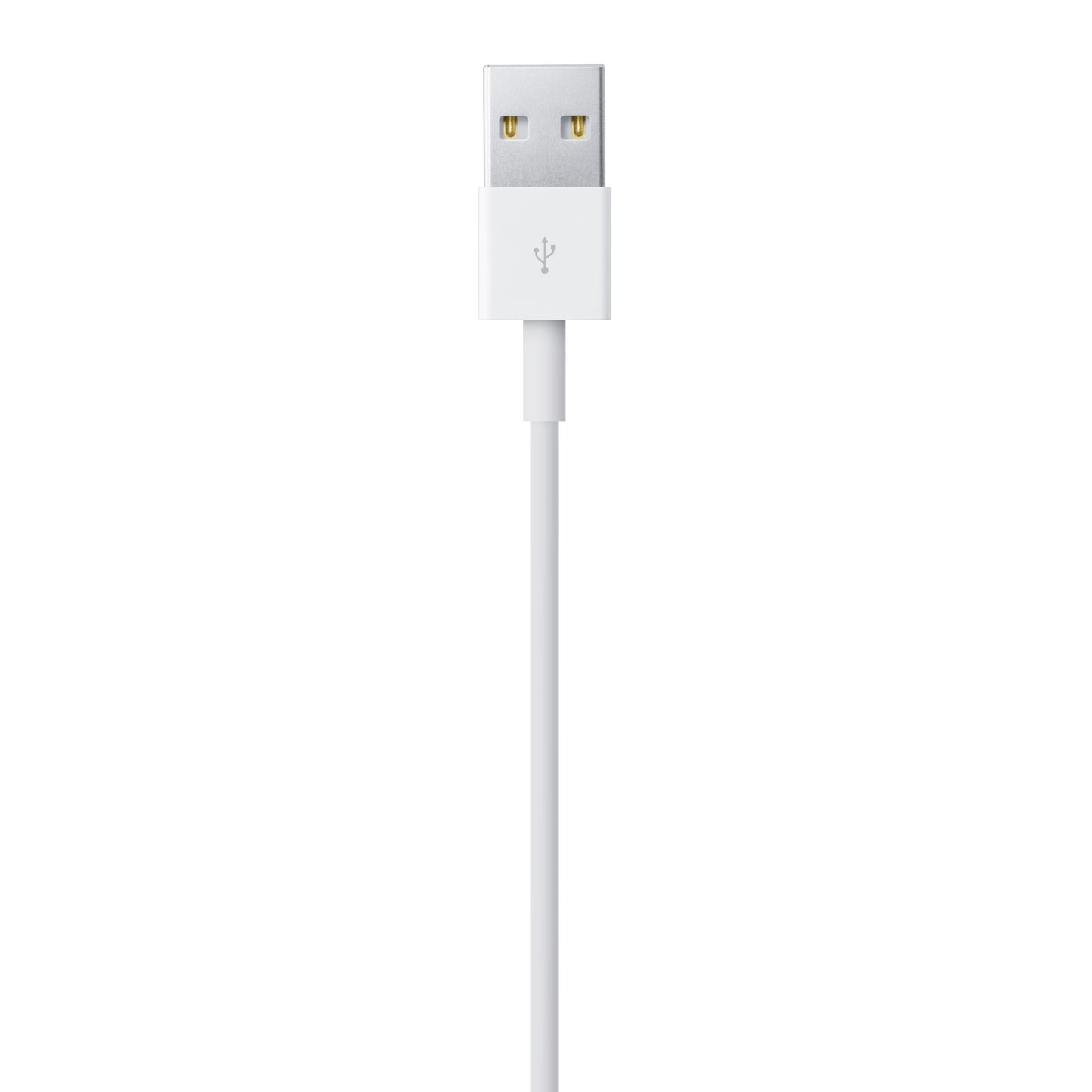 Apple Lightning to USB Cable (1 m) 