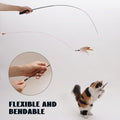 Pawsible Cat Toys, 2PCS Cat Teaser Fishing Pole with 7 Interactive Toys, Ideal for Indoor Play and Exercise, Keeps Cats Engaged and Active