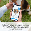 Ring Pet Tag | Easy-to-use tag with QR code | Real-time scan alerts | Shareable Pet Profile | No subscription or fees