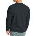 Sweat-shirt EcoSmart pour homme de Hanes, noir, taille L