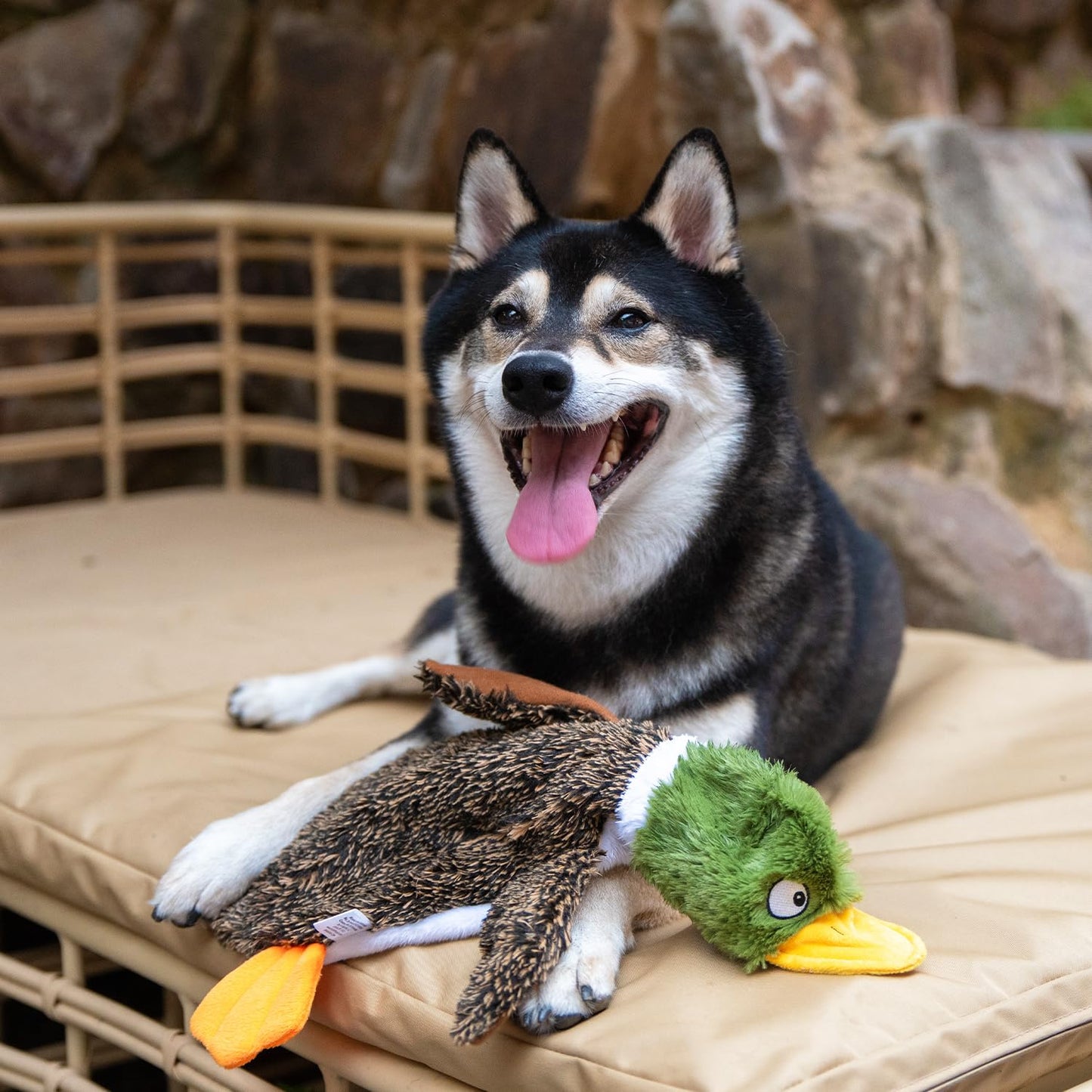 Juguetes para perros 2 en 1 que no producen ruido y que chirrían con tela suave y duradera para mascotas pequeñas, medianas y grandes, sin relleno para jugar en interiores, favorecen la mordida activa y el juego - 1 Wild Duck, pequeño