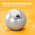 Pelota de ejercicios BODi Core para fortalecer el core, pelota de ejercicios pequeña de 8", liviana, duradera, inflable, equipo de entrenamiento para gimnasio en casa para yoga, pilates, fitness, pajita de inflado y tapón incluidos, color plateado