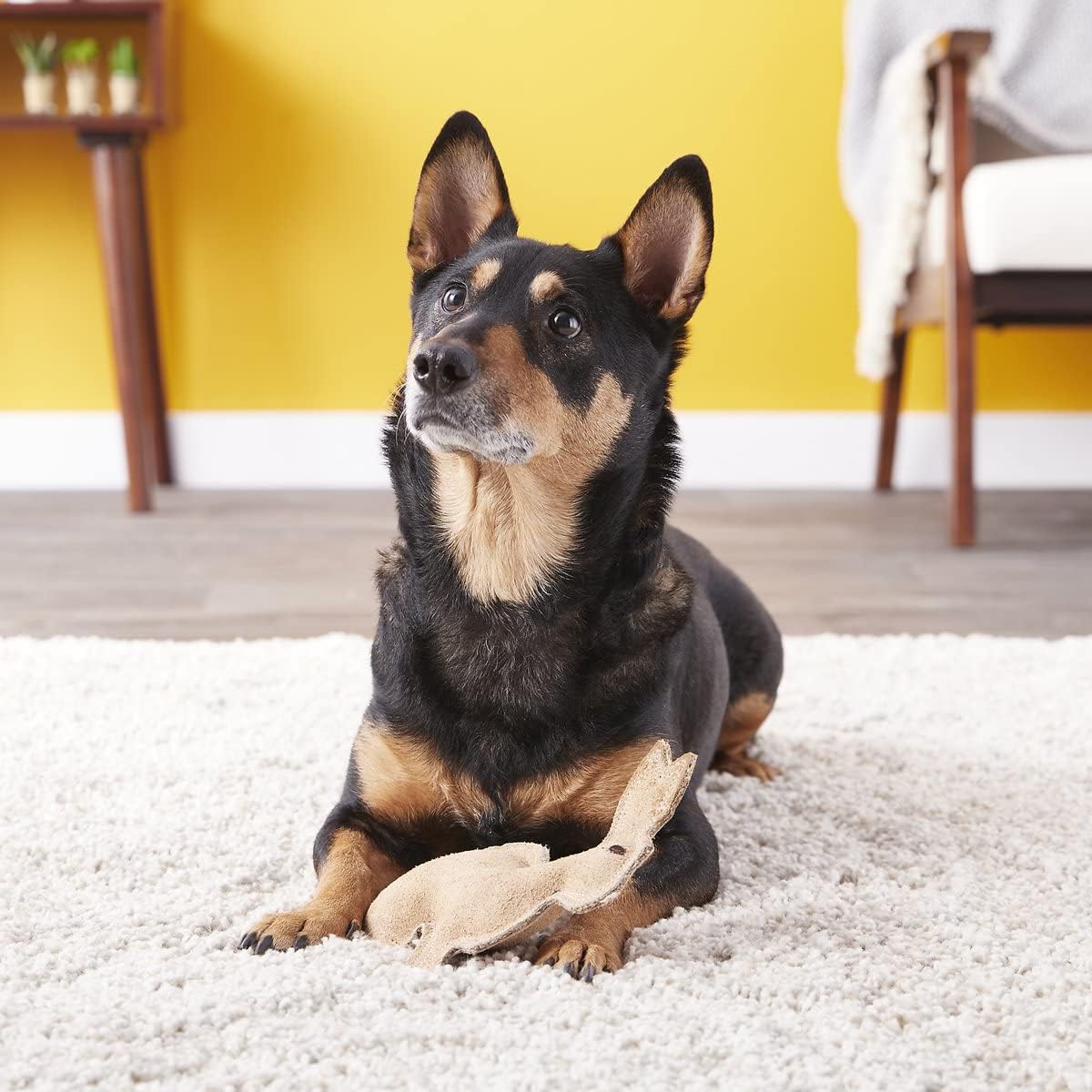 Conejo de cuero Dura-Fused: juguete duradero para perros con chirriador, cuero real y tela de yute, juguete interactivo para masticadores moderados y agresivos, perros y cachorros pequeños y medianos, 7.5 pulgadas