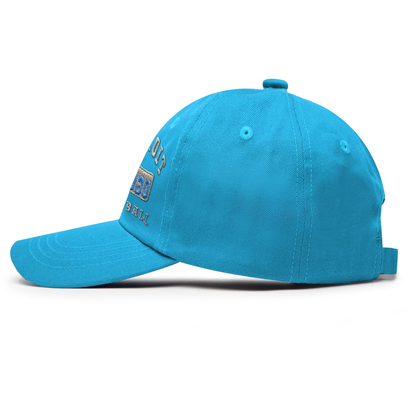 Casquette de baseball unisexe réglable classique vintage brodée en 3D pour homme et femme