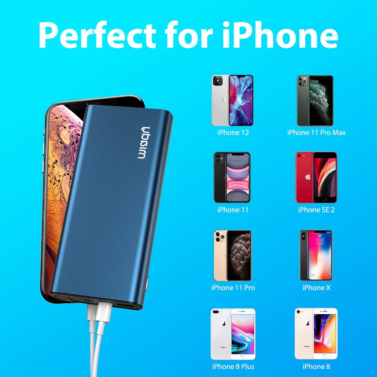 Miady USB-C 18W PD 3.0 Portable Charger 20000mAh, Fast Charging Power Bank/w MFi Certified Lightning Cable and 18W PD Charger, Power Pack Compatible with iPhone 12/11/11 Pro/XR/SE/X/8/8P and etc