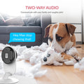 YI 2K 3MP Home Security Camera, Indoor Camera with Person, Vehicle, Animal Detection, Phone App for Baby, Pet, Dog, Monitoring, Compatible with Alexa