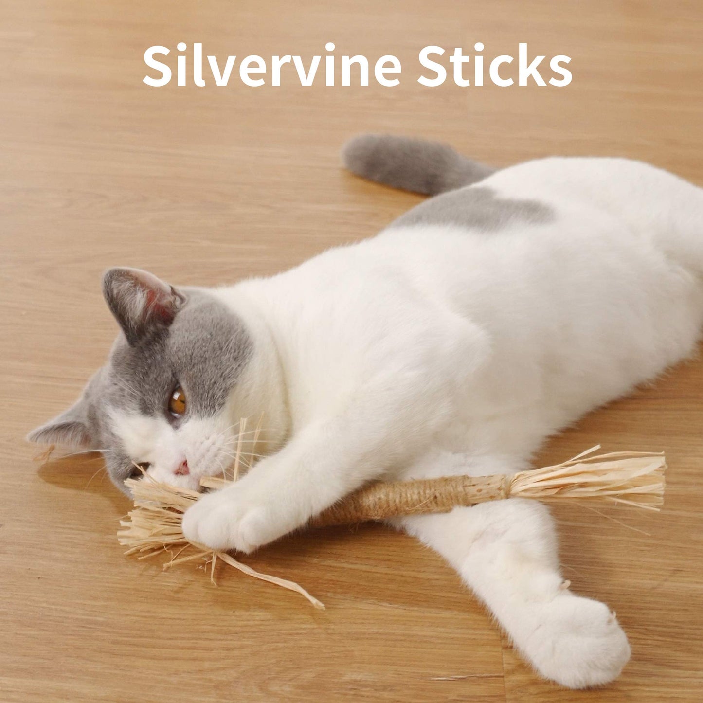 PAZ'S GIFT Catnip Toy Cat Toys Catnip Toy cat chew Toy cat Kicking silvervine Stick Teeth Cleaning Cute Kitten Teething Indoor Interactivecat Dental Care Matatabi (Raffia 3pcs)