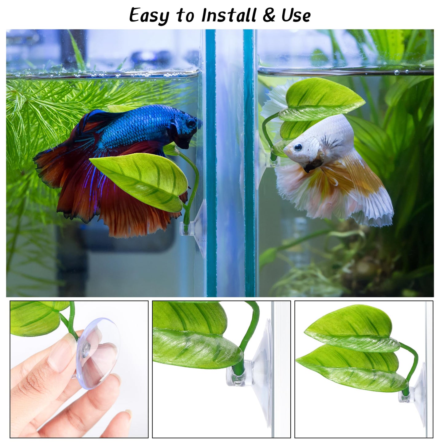 Lot de 4 coussinets en feuille pour poissons Betta URATOT simulant l'habitat naturel des frayères, des lits de repos et de reproduction pour poissons Betta