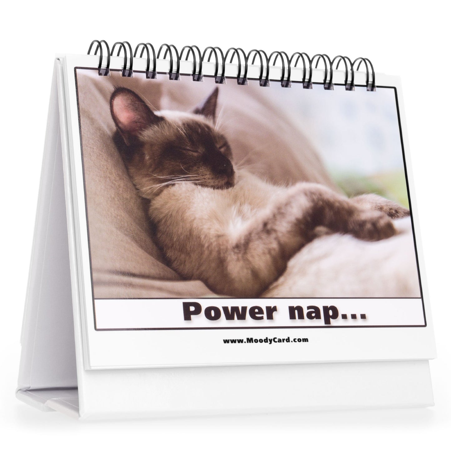 Cat Lover Gifts for Women - Funny Desk Signs & Office Decor | MoodyCards with Cat Memes | Ideal Coworker & Funny Gifts for Colleagues | Cool Desk Accessories for Office, Home & Cubicle