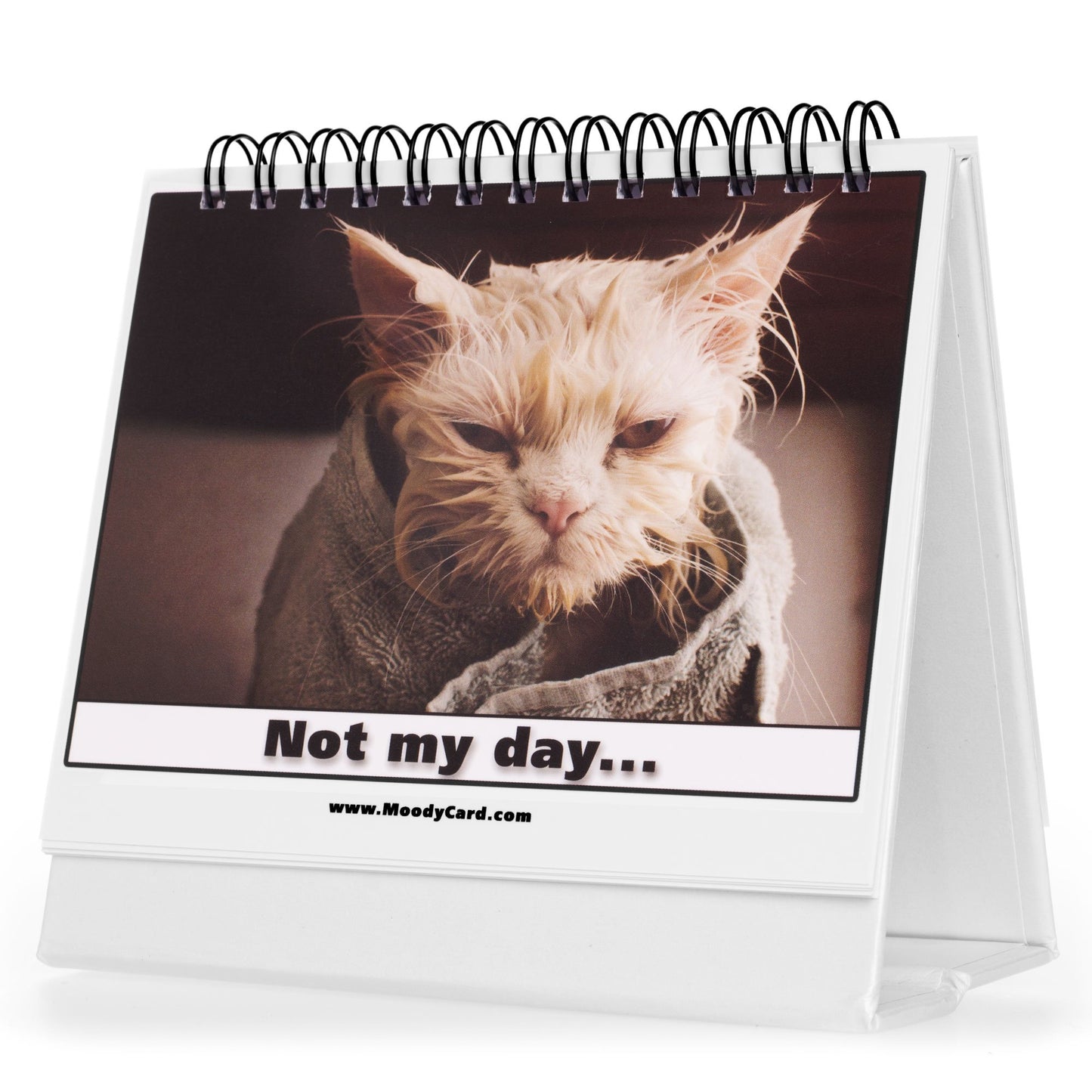 Cat Lover Gifts for Women - Funny Desk Signs & Office Decor | MoodyCards with Cat Memes | Ideal Coworker & Funny Gifts for Colleagues | Cool Desk Accessories for Office, Home & Cubicle