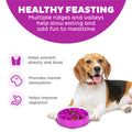 Outward Hound Fun Feeder Slo Bowl, Slow Feeder Dog Bowl, Medium/Mini, Purple