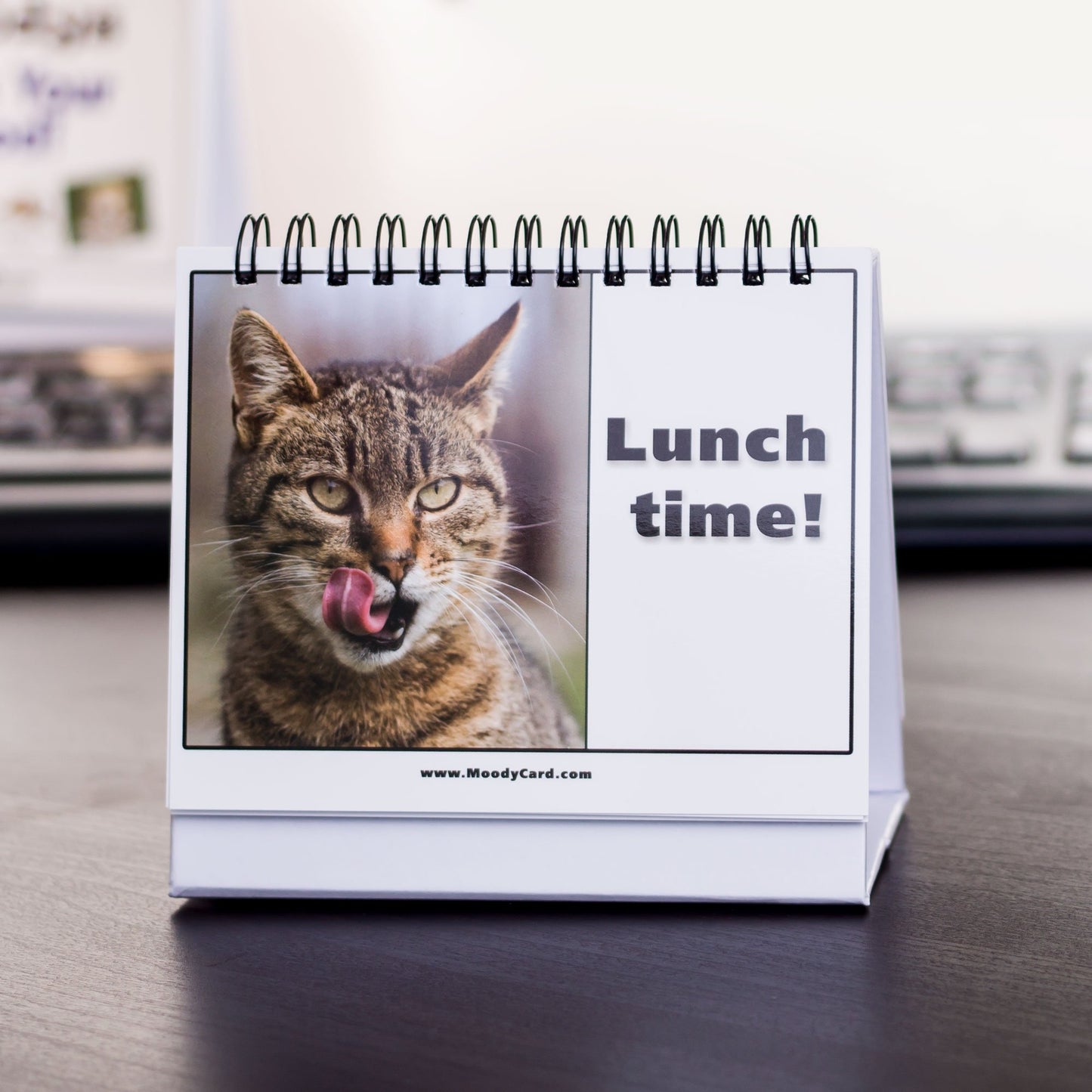 Cat Lover Gifts for Women - Funny Desk Signs & Office Decor | MoodyCards with Cat Memes | Ideal Coworker & Funny Gifts for Colleagues | Cool Desk Accessories for Office, Home & Cubicle