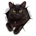 Autocollants 3D pour chat Winston &amp; Bear - Lot de 2 - Autocollants muraux pour chat noir - Autocollants muraux pour chat pour chambre - Réfrigérateur - Toilettes - Voiture - Emballage de vente au détail