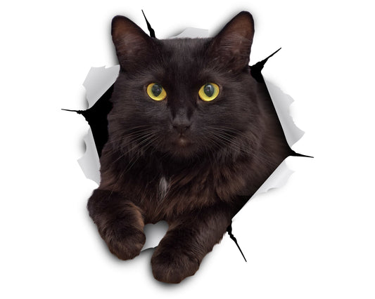 Autocollants 3D pour chat Winston &amp; Bear - Lot de 2 - Autocollants muraux pour chat noir - Autocollants muraux pour chat pour chambre - Réfrigérateur - Toilettes - Voiture - Emballage de vente au détail