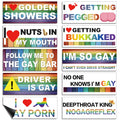 Frienda 10 Pcs Bumper Decals Funny LGBT Car Stickers Rainbow Bumper Stickers Prank Car Stickers Colorful Car Accessories for Truck Vehicle Luggage Window Refrigerator(Magnetic,Classic Style)