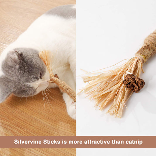 PAZ'S GIFT Catnip Toy Cat Toys Catnip Toy cat chew Toy cat Kicking silvervine Stick Teeth Cleaning Cute Kitten Teething Indoor Interactivecat Dental Care Matatabi (Raffia 3pcs)