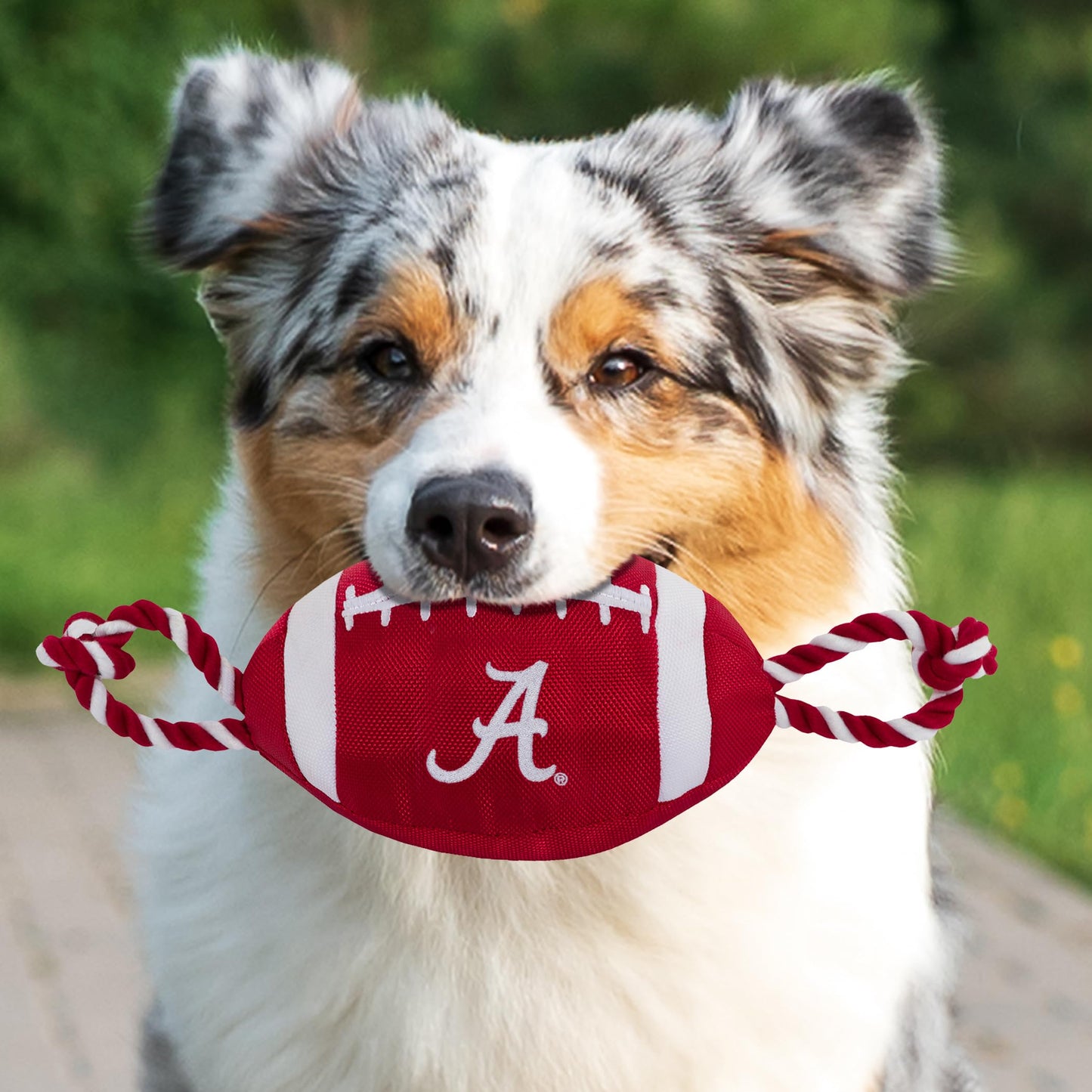 Pets First NCAA Alabama Crimson Tide Jouet pour chien de football, matériaux en nylon de qualité robuste, cordes de traction solides, couineur intérieur, couleur de l'équipe collégiale