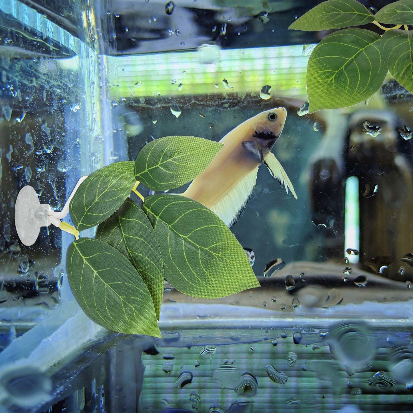 2 Pcs Betta Fish Leaf Pad Fish Tank Accessories Aquarium Décor Simulating The Natural Habitat for Betta Spawning Grounds Breeding Resting Bed with Plastic Suction Cup