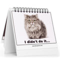 Cat Lover Gifts for Women - Funny Desk Signs & Office Decor | MoodyCards with Cat Memes | Ideal Coworker & Funny Gifts for Colleagues | Cool Desk Accessories for Office, Home & Cubicle